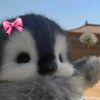 liya_maniss2