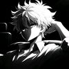 spider_fv_flash55