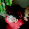 cimine.wayy