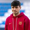 ahmedpedri5