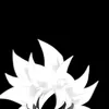 dusgh.d