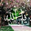 bourouilafaysal