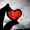 user2183417204619