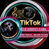 tiosenopatipjawa2