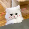 onlqv7