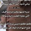 919alkadh