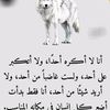 user4566159241588