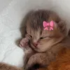 madifluff