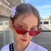 sosisohska_fan
