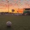 abdi_shuffle
