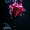 askislpt5qq