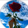 mirhakhan11678