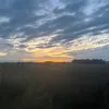 tosiek_szenher120
