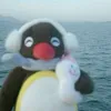 po0h_bearr