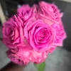 miray_esn