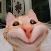 hayyeubanthanminhhon9