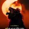 khankgan569