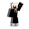 alanvsc13