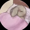 ggcfghtfhf