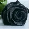 sewa8382
