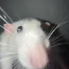 urf4vra4t1
