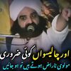 ali.raza06423