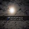 user13462000333528