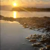 nolandean4