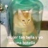 jordanquito268