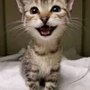 ktuhsu9l2yyi