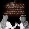 user781060435