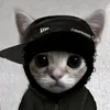 vytiiinnzz