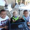 dana.starks.napie