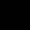 mv_4l