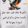 user88062434056791