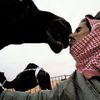 - ٤١١ -