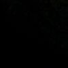 spamm_acc_sh