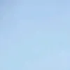 jujusxzh