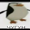tylenzik2