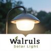 walrulssolarlight
