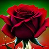 user003188115