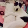 linda.lina976lina510127