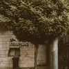 فيدوهات🫀