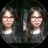 incs_incess2
