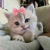 🐟하이미😼