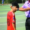 baotrong.10