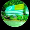 shahreef.bacha