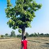 pratishkhatri4