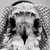 waleed.waleed3826