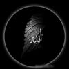 usman33501